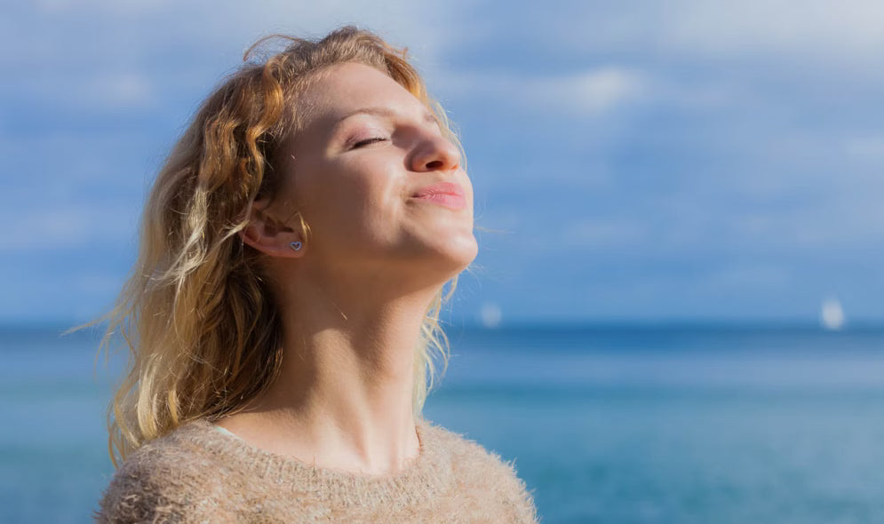 De Kracht van Groene Superfoods: Wat Zit Er in Basic Greens?